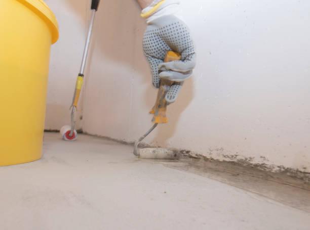 Best Pest Prevention Services  in Norristown, PA